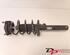 Suspension Strut VW Golf VI (5K1)