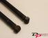 Shock Absorber FIAT Grande Punto (199), FIAT Punto (199), FIAT Punto Evo (199)