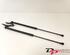 Bootlid (Tailgate) Gas Strut Spring CITROËN C4 Cactus (--)