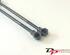 Bootlid (Tailgate) Gas Strut Spring RENAULT CLIO IV Grandtour (KH_), RENAULT CLIO III Grandtour (KR0/1_)