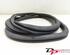 Door Seal VW Touran (1T1, 1T2)