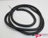 Door Seal OPEL Crossland X (P17, P2QO)