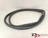 Door Seal FIAT 500 (312), FIAT 500 C (312), FIAT 500/595/695 (312), FIAT 500C/595C/695C (312)