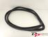 Door Seal FIAT 500 (312), FIAT 500 C (312), FIAT 500/595/695 (312), FIAT 500C/595C/695C (312)