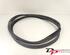 Door Seal FIAT 500 (312), FIAT 500 C (312), FIAT 500/595/695 (312), FIAT 500C/595C/695C (312)