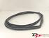 Door Seal TOYOTA Yaris (P13)