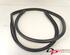 Door Seal TOYOTA Yaris (P13)