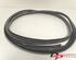 Door Seal MAZDA RX-8 (SE, FE)