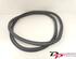 Door Seal CITROËN C3 II (SC_), CITROËN DS3, DS DS 3 (SA_)