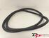 Door Seal CITROËN C3 II (SC_), CITROËN DS3, DS DS 3 (SA_)