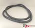 Door Seal CITROËN C3 II (SC_), CITROËN DS3, DS DS 3 (SA_)