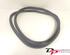 Door Seal CITROËN C3 II (SC_), CITROËN DS3, DS DS 3 (SA_)