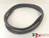 Door Seal RENAULT CAPTUR I (J5_, H5_), RENAULT CLIO IV (BH_), RENAULT CLIO III (BR0/1, CR0/1)