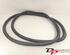 Door Seal OPEL CORSA D (S07)