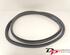 Door Seal RENAULT CLIO IV Grandtour (KH_), RENAULT CLIO III Grandtour (KR0/1_)