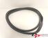 Door Seal RENAULT CLIO IV Grandtour (KH_), RENAULT CLIO III Grandtour (KR0/1_)