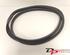 Door Seal RENAULT CLIO IV Grandtour (KH_), RENAULT CLIO III Grandtour (KR0/1_)