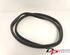 Door Seal RENAULT CLIO IV Grandtour (KH_), RENAULT CLIO III Grandtour (KR0/1_)