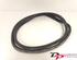 Door Seal RENAULT CLIO IV Grandtour (KH_), RENAULT CLIO III Grandtour (KR0/1_)