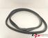 Door Seal RENAULT CLIO IV Grandtour (KH_), RENAULT CLIO III Grandtour (KR0/1_)