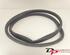 Door Seal RENAULT CLIO IV Grandtour (KH_), RENAULT CLIO III Grandtour (KR0/1_)