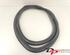 Door Seal OPEL INSIGNIA A Sports Tourer (G09)