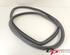 Door Seal OPEL INSIGNIA A Sports Tourer (G09)