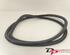 Door Seal OPEL INSIGNIA A Sports Tourer (G09)