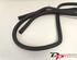 Door Seal NISSAN X-TRAIL (T32_)