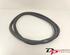 Door Seal VW POLO (6R1, 6C1), VW POLO Van (6R)