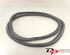 Door Seal VW POLO (6R1, 6C1), VW POLO Van (6R)