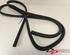 Door Seal NISSAN X-TRAIL (T32_)