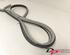 Door Seal CHEVROLET AVEO / KALOS Hatchback (T250, T255), CHEVROLET AVEO Hatchback (T300)