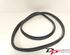 Door Seal RENAULT CLIO III (BR0/1, CR0/1), RENAULT CLIO IV (BH_), RENAULT CLIO II (BB_, CB_)