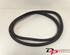 Door Seal RENAULT CLIO III (BR0/1, CR0/1), RENAULT CLIO IV (BH_), RENAULT CLIO II (BB_, CB_)