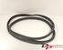 Door Seal RENAULT CLIO III (BR0/1, CR0/1), RENAULT CLIO IV (BH_), RENAULT CLIO II (BB_, CB_)