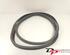 Door Seal RENAULT CLIO III (BR0/1, CR0/1), RENAULT CLIO IV (BH_), RENAULT CLIO II (BB_, CB_)