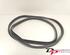 Door Seal RENAULT CLIO III (BR0/1, CR0/1), RENAULT CLIO IV (BH_), RENAULT CLIO II (BB_, CB_)