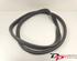 Door Seal RENAULT CLIO III (BR0/1, CR0/1), RENAULT CLIO IV (BH_), RENAULT CLIO II (BB_, CB_)