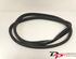 Door Seal RENAULT CLIO III (BR0/1, CR0/1), RENAULT CLIO IV (BH_), RENAULT CLIO II (BB_, CB_)