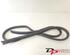 Door Seal HYUNDAI i20 (PB, PBT)