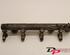 Petrol Fuel Rail SEAT Leon (1M1)