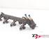 Petrol Fuel Rail VW Golf IV (1J1)