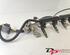 Petrol Fuel Rail FORD Fusion (JU)