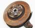 Stub Axle NISSAN Qashqai II SUV (J11, J11)