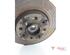 Stub Axle FIAT 500 (312), FIAT 500 C (312), FIAT 500/595/695 (312), FIAT 500C/595C/695C (312)