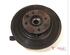 Stub Axle FIAT 500 (312), FIAT 500 C (312), FIAT 500/595/695 (312), FIAT 500C/595C/695C (312)