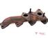 Exhaust Manifold RENAULT KANGOO Express (FW0/1_)