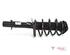 Suspension Strut FORD Focus III Turnier (--)