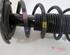 Suspension Strut KIA Picanto (TA)